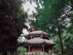 -成都杜甫草堂博物馆