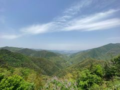 -四明山国家森林公园