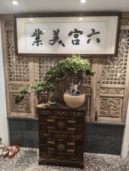 -六宫Spa女子养护中心
