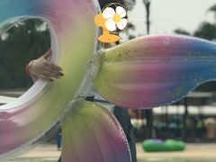 -重庆海昌加勒比海水世界