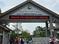 -中国大熊猫保护研究中心雅安碧峰峡基地