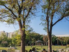 -高子水居