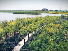 -天津东丽湖风景区