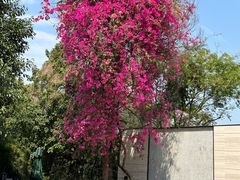 -荔枝公园-小平画像广场