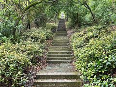 -潜山国家森林公园