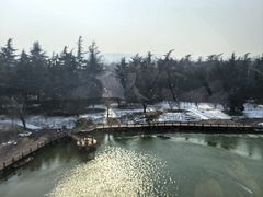 -大鹏国际酒店-天鹅苑自助餐厅