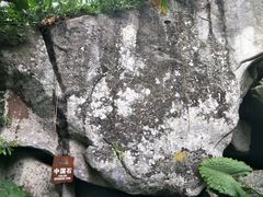 -呀诺达热带雨林