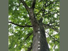 -桤木河湿地公园