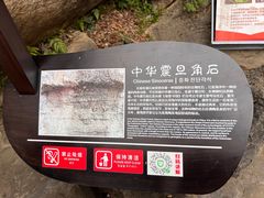 -梭布垭石林景区