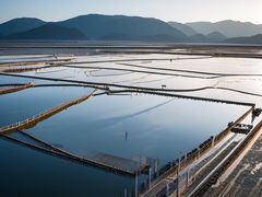 -莺歌海盐场