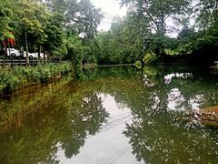 -雅安上里古镇