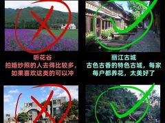-大理洱海