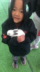 -萌宠亲子动物乐园(槐房万达店)