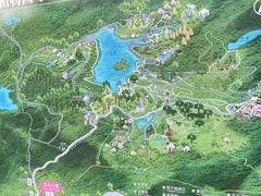 -深圳仙湖植物园