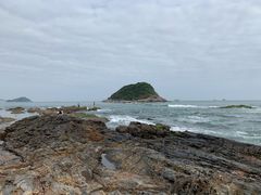 -盐洲岛