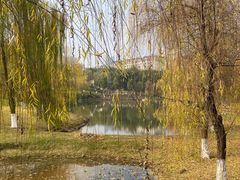 -沐仙湖湿地公园