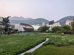 -东尊华美达广场酒店·东尊阁美食中餐厅