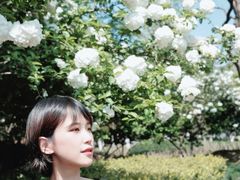 -杭州城北体育公园