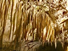 -波斯托伊纳溶洞