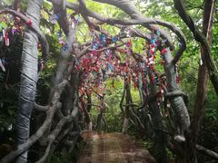 -天目湖山水园