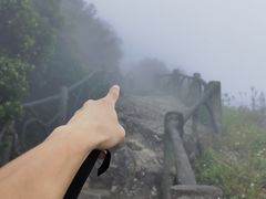 -梧桐山风景名胜区