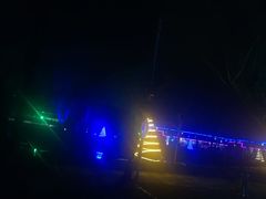 -枫花园汽车电影院(朝阳公园店)