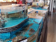 -百富源·海鲜辽菜(张士店)