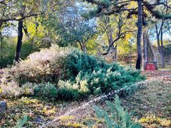 -元大都城垣遗址公园