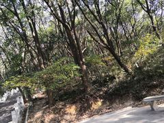 -灵岩山风景区