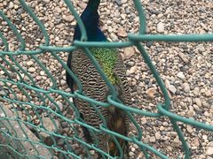 -南京金牛湖风景区