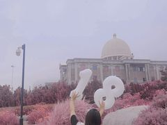 -Tomado绿色烘焙(大尧三路店)