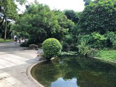 -晓港公园