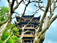 -黄鹤楼公园(黄鹤楼)