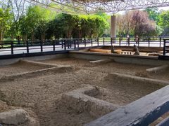 -合肥三国新城遗址公园