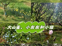 -凤凰沟景区