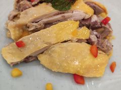 特色白切草母鸡-新名仕新白玉兰餐厅