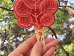 -香山公园