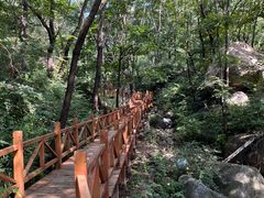 -大岭沟猕猴桃谷风景区