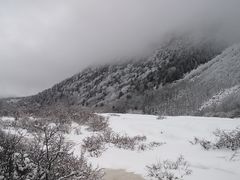 -黄龙山原始森林景区