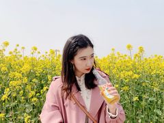 -西海岸生态观光园