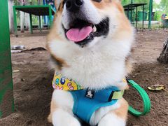 -顺鑫绿色度假村
