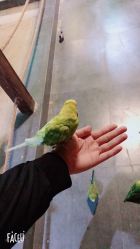 -酷嗒动物文化乐园(cutezoo西溪乐天城店)