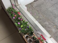 -笃笃笃糖粥(十全街店)