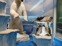 -国家自然博物馆