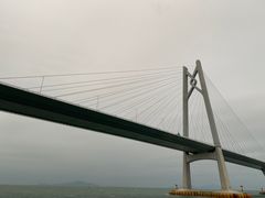-招商蛇口邮轮母港(观光客运)