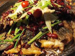 -老板恋上鱼(印象城店)