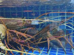 -徐记海鲜(梅溪新天地店)