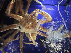 -蟹道乐(道顿堀本店)