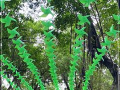 -广州长隆飞鸟乐园