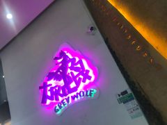 -大灰狼(中心书城店)